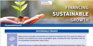 Taksonomien under EUs handlingsplan for bærekraftig finans